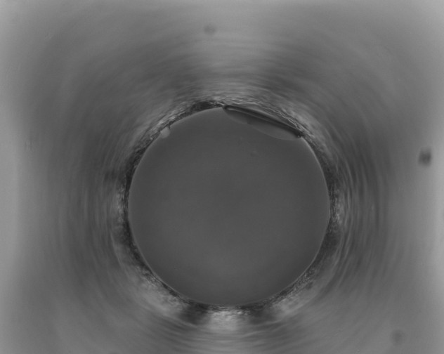 X0000093740461200710231215