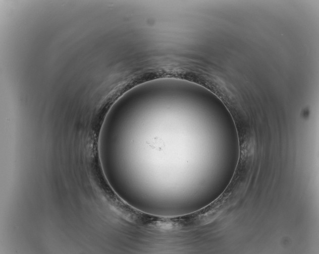 X0000093740464200710231215