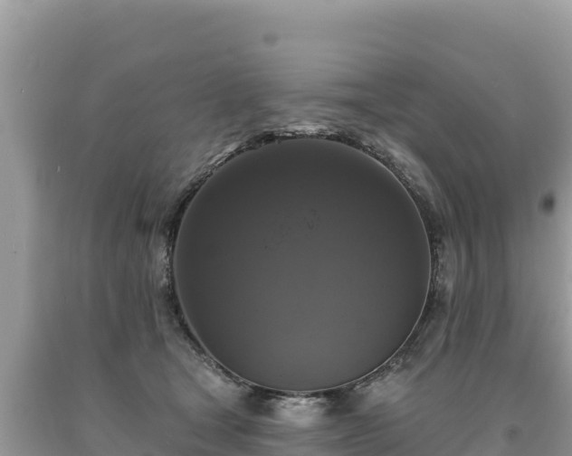 X0000093740465200710231215