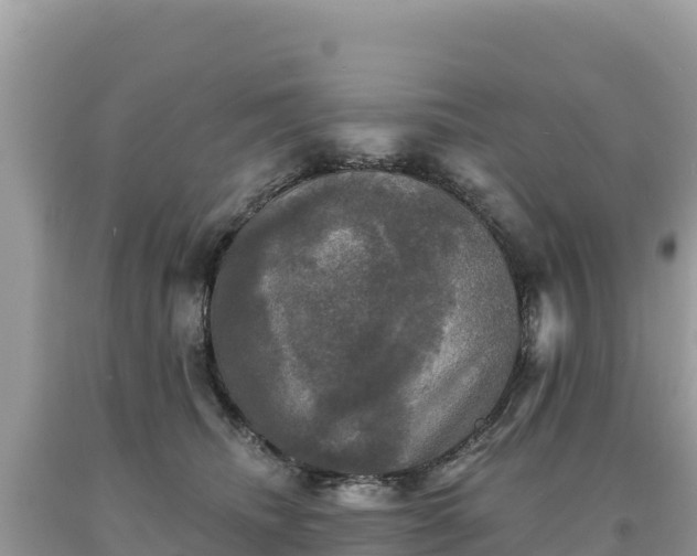 X0000093740468200710231215