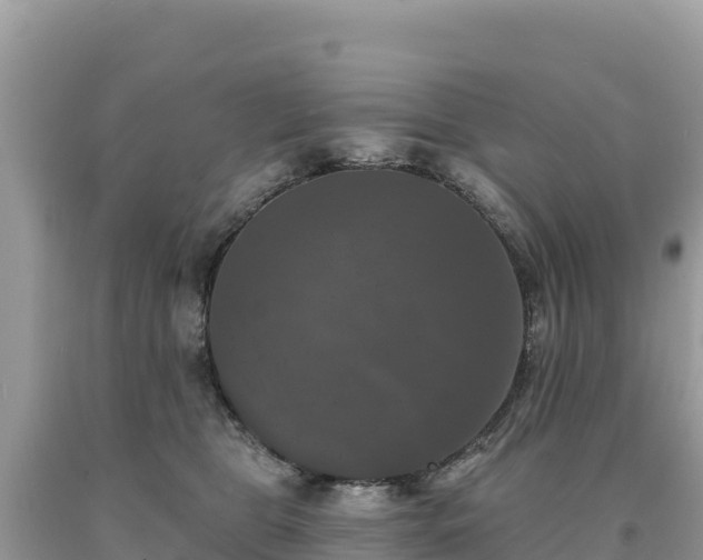 X0000093740469200710231215