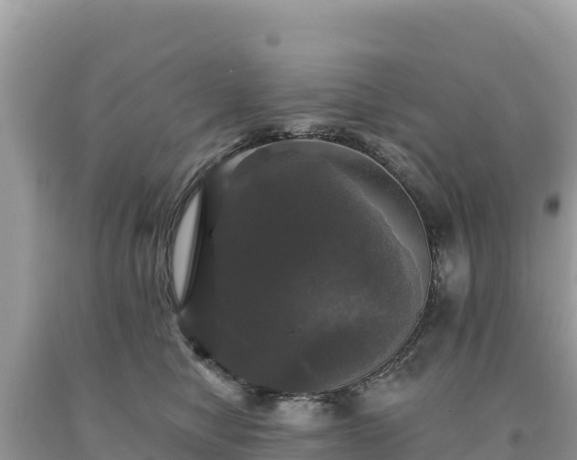 X0000093740470200710231215