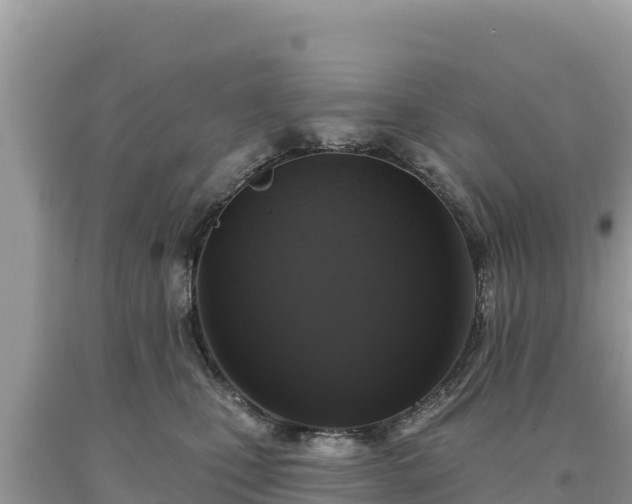 X0000093740471200710231215