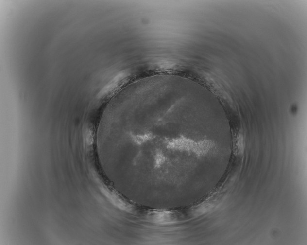 X0000093740472200710231215