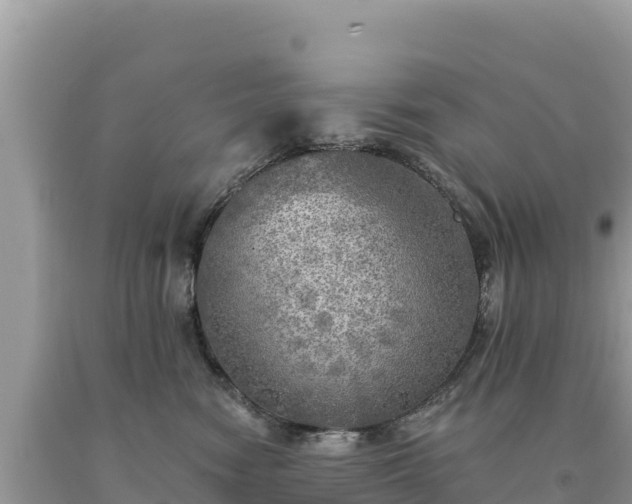 X0000093740474200710231215