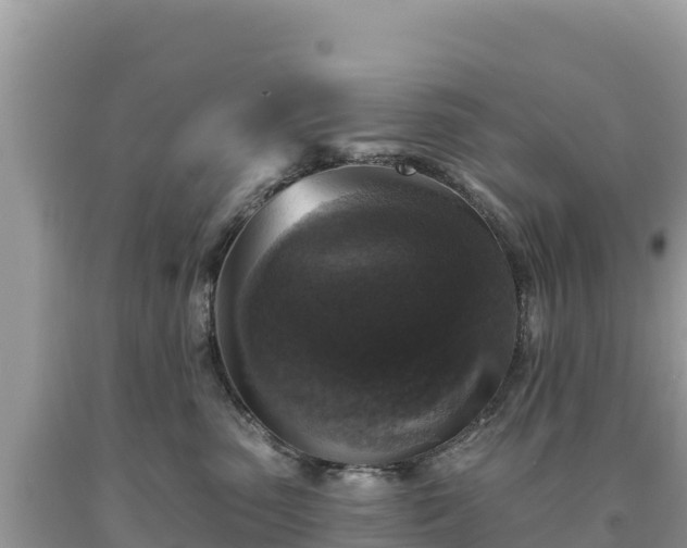 X0000093740475200710231215