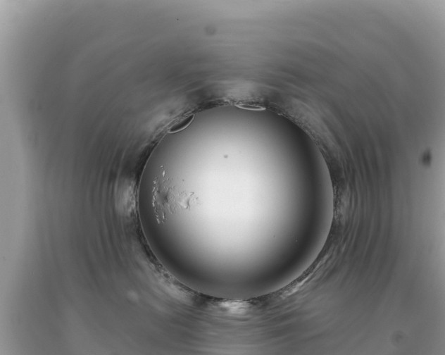 X0000093740478200710231215