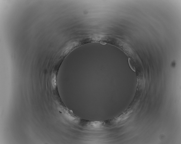 X0000093740479200710231215