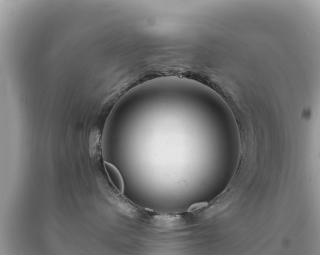 X0000093740480200710231215