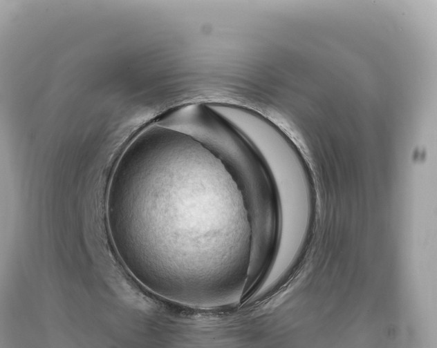 X0000093740481200710231215