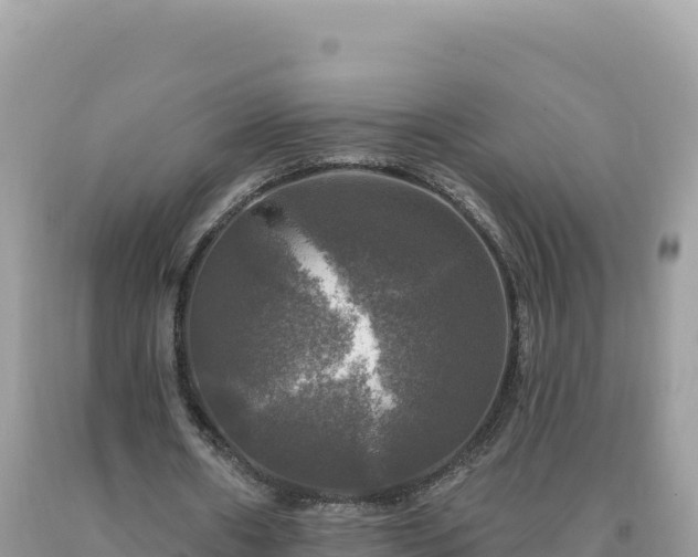 X0000093740482200710231215