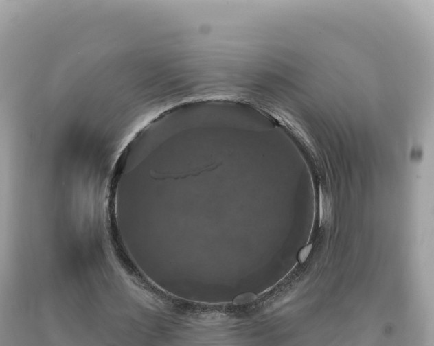 X0000093740483200710231215