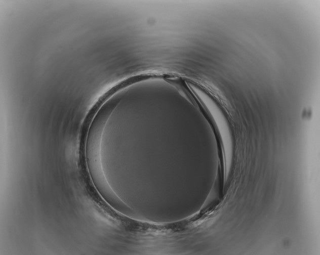 X0000093740484200710231215