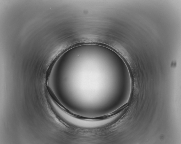 X0000093740485200710231215