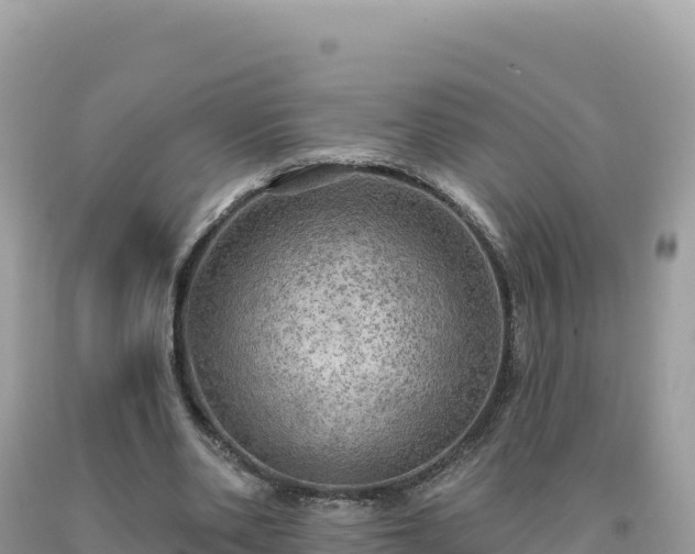 X0000093740486200710231215