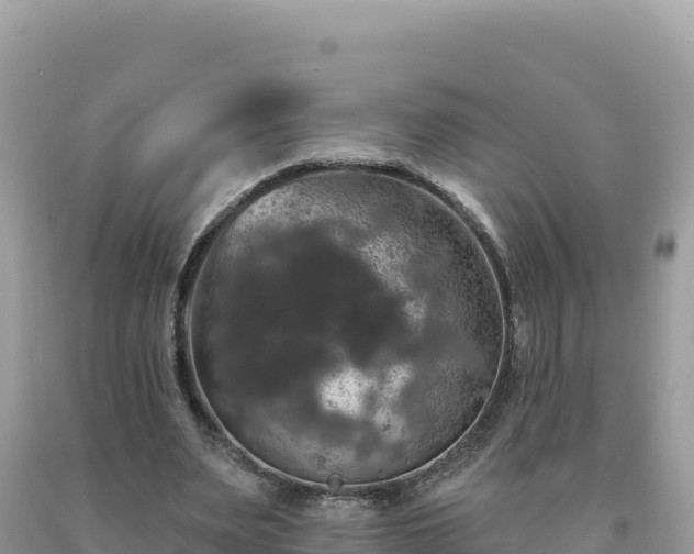 X0000093740487200710231215