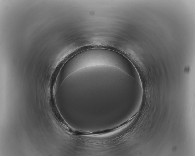 X0000093740488200710231215