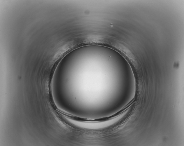 X0000093740489200710231215