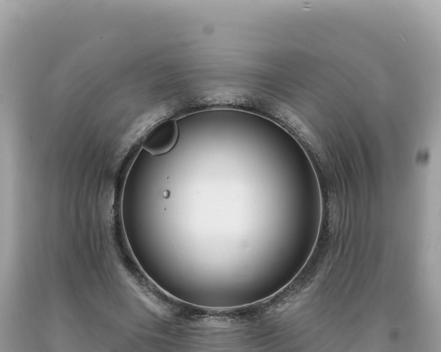 X0000093740490200710231215