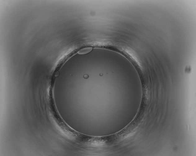 X0000093740491200710231214