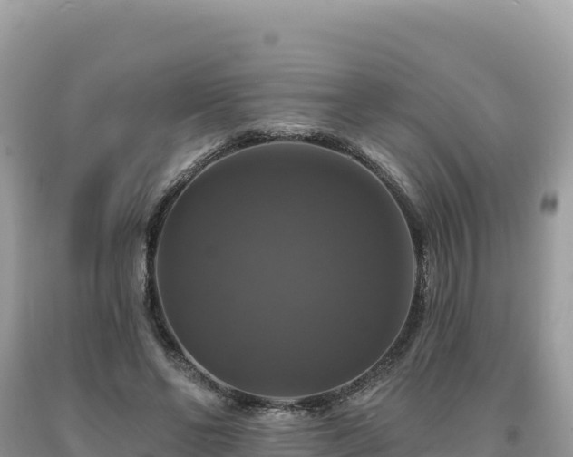 X0000093740494200710231214