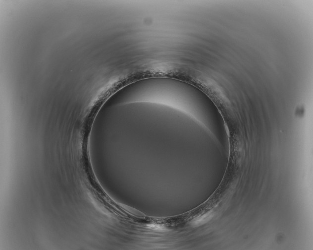 X0000093740496200710231214