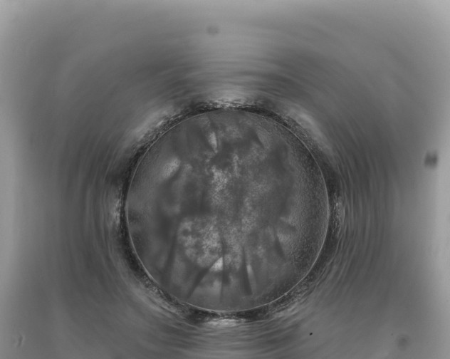 X0000093740499200710231214