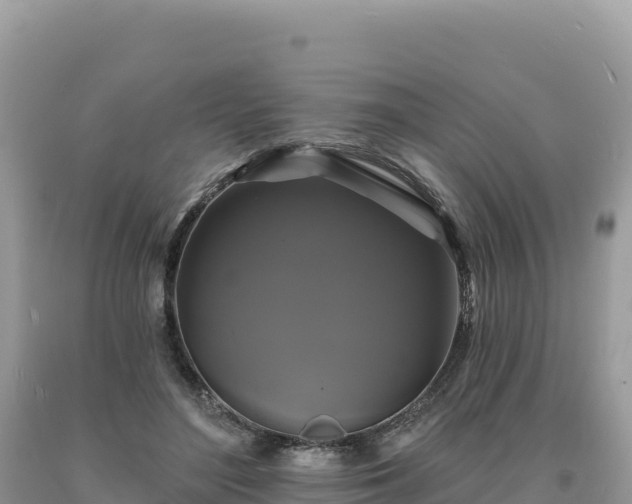 X0000093740500200710231214
