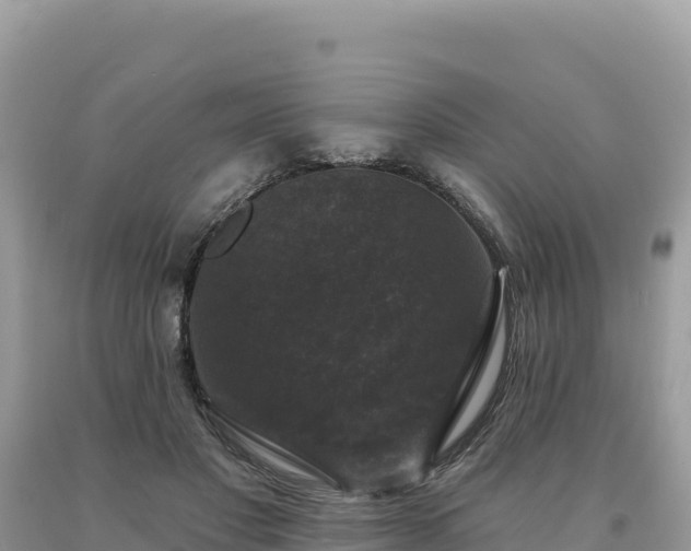 X0000093740501200710231214