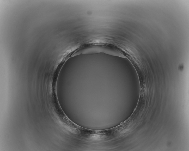 X0000093740504200710231214