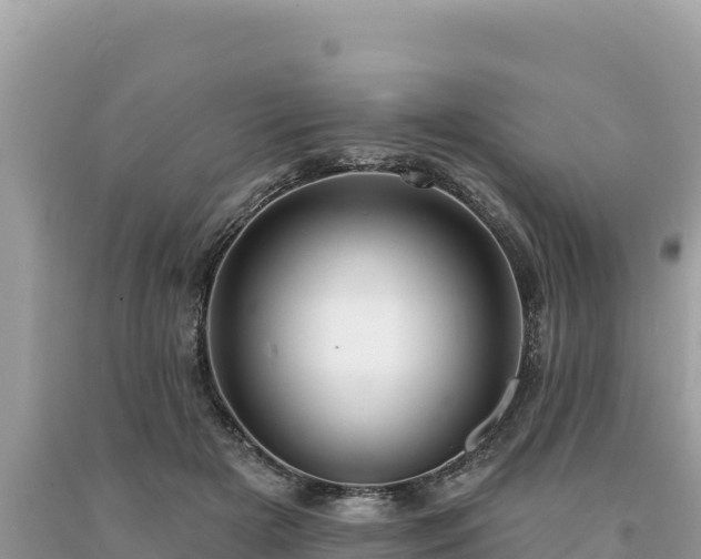 X0000093740505200710231214