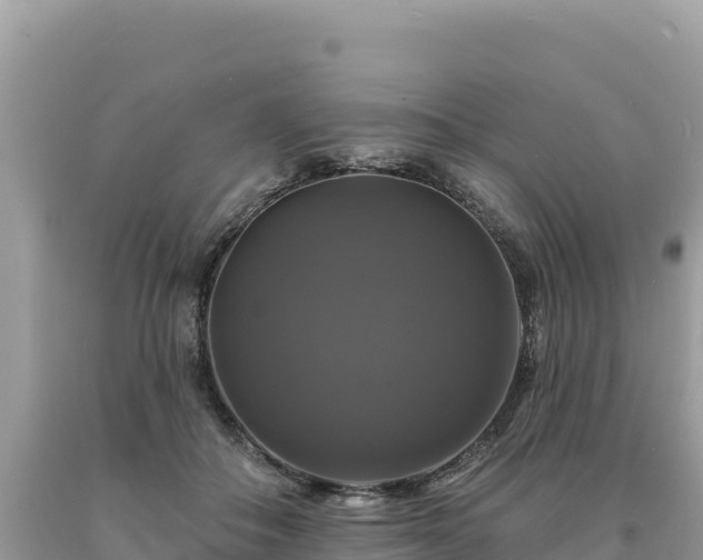 X0000093740506200710231214