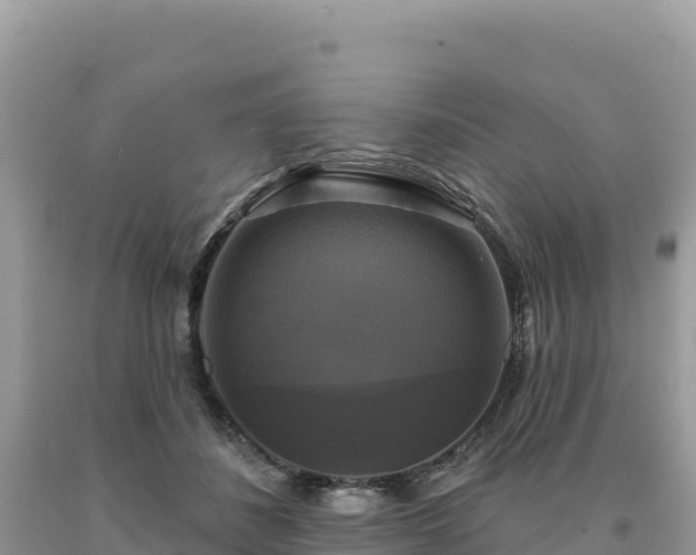 X0000093740508200710231214