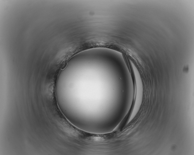 X0000093740509200710231214