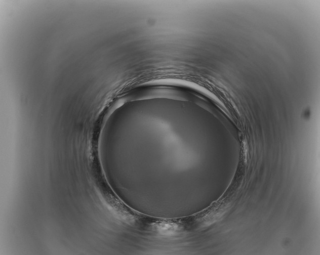 X0000093740512200710231214