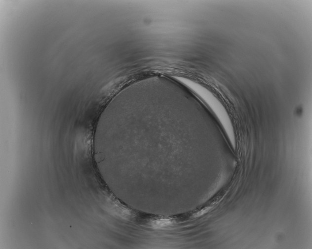 X0000093740513200710231214