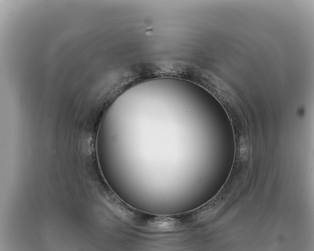 X0000093740514200710231214
