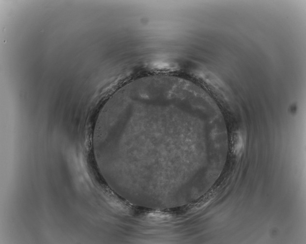 X0000093740515200710231214