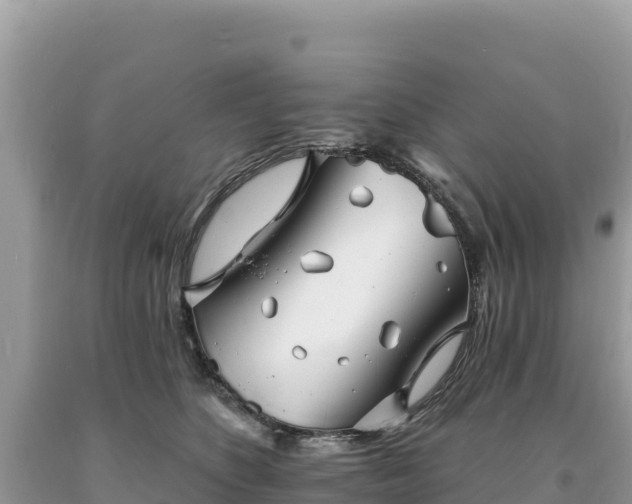 X0000093740516200710231214