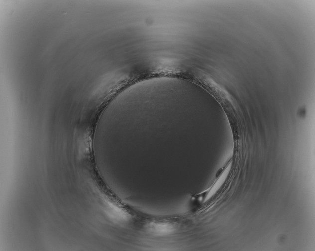 X0000093740517200710231214