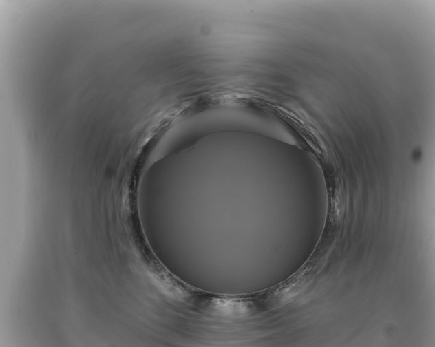 X0000093740520200710231214