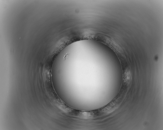 X0000093740522200710231214