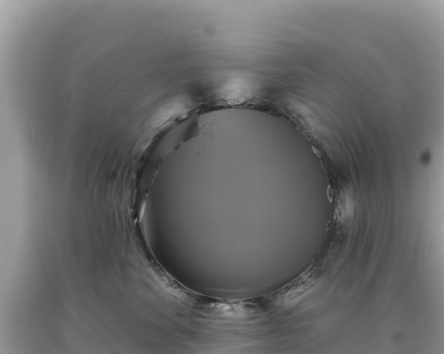 X0000093740524200710231214