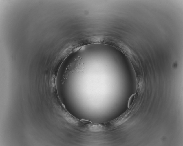 X0000093740525200710231214