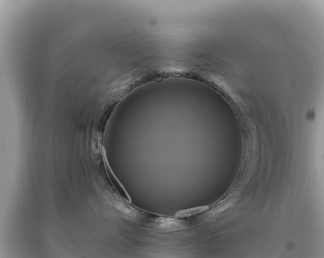 X0000093740528200710231214