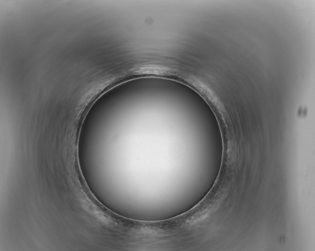 X0000093740529200710231213