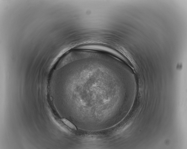 X0000093740530200710231213