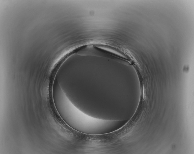 X0000093740531200710231213
