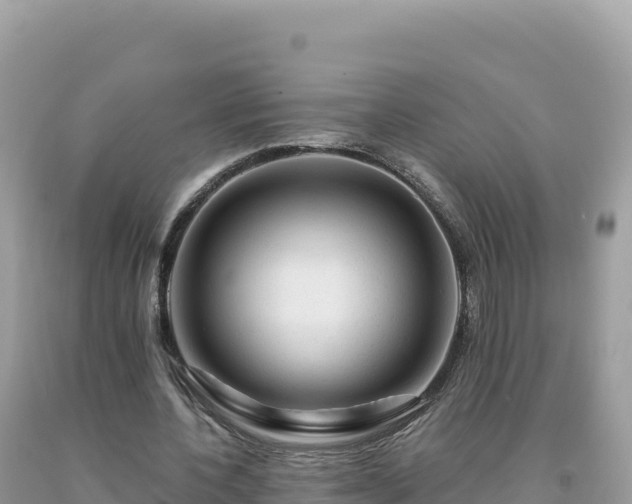X0000093740532200710231213