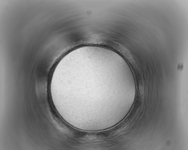 X0000093740534200710231213